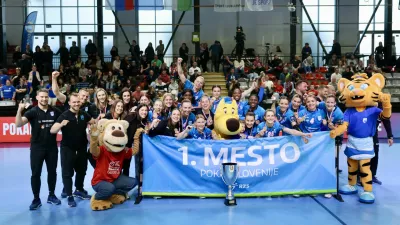 rokometm pokal slovenije, krim mercator