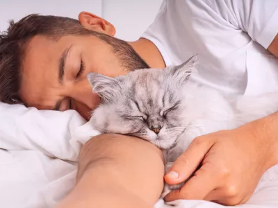Man sleeping with cat. Lovely cat and owner. Love and trust between people and pets. High quality photo / Foto: Daria Kulkova
