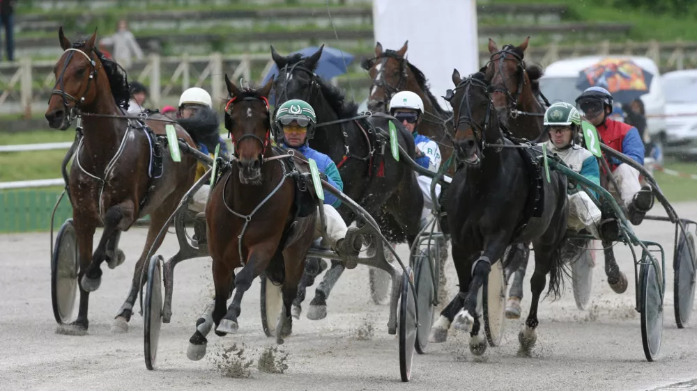 -Cash Hammering in Hannu Voutilainen-Dirka za 3-14 letne kasače, mednarodna dirka-Konjske dirke, Pokal Mesta Ljubljane-Hipodrom Ljubljana Stožice//FOTO: Tomaž SkaleOPOMBA: ZA OBJAVO V ČASOPISU DNEVNIK