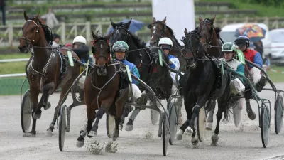 -Cash Hammering in Hannu Voutilainen-Dirka za 3-14 letne kasače, mednarodna dirka-Konjske dirke, Pokal Mesta Ljubljane-Hipodrom Ljubljana Stožice//FOTO: Tomaž SkaleOPOMBA: ZA OBJAVO V ČASOPISU DNEVNIK