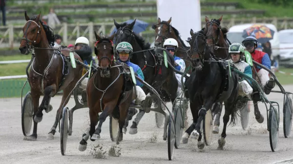 -Cash Hammering in Hannu Voutilainen-Dirka za 3-14 letne kasače, mednarodna dirka-Konjske dirke, Pokal Mesta Ljubljane-Hipodrom Ljubljana Stožice//FOTO: Tomaž SkaleOPOMBA: ZA OBJAVO V ČASOPISU DNEVNIK