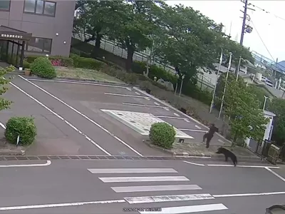 This image made from the security camera footage provided by the Fukushima Steel Works, shows a bear, right, chasing a person, second right, on its premises in Fukushima, Japan, Tuesday, June 2, 2026. (FUKUSHIMA STEEL WORKS via AP)