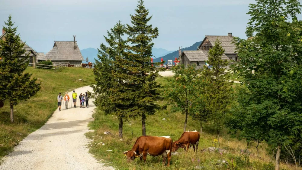 Velika planina