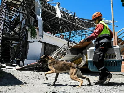 A rescue worker uses search-and-rescue dog to look for trapped people at a collapsed grocery store a day after the magnitude 7.8 quake in Calumpang, General Santos, southern Philippines, June 9, 2026. REUTERS/Noel Celis