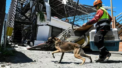 A rescue worker uses search-and-rescue dog to look for trapped people at a collapsed grocery store a day after the magnitude 7.8 quake in Calumpang, General Santos, southern Philippines, June 9, 2026. REUTERS/Noel Celis
