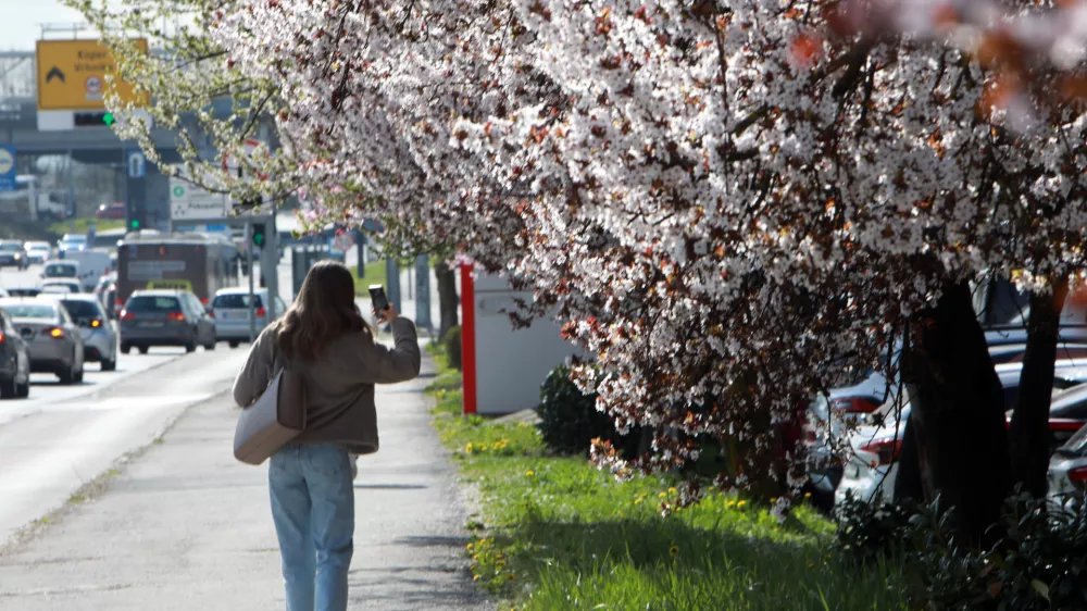 24.03.2026 -simbolična fotografija - pomlad, VičFoto: Tomaž Skal / Foto: Tomaž Skale