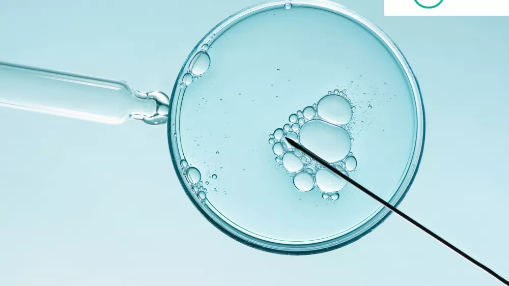 Foto: iStock
