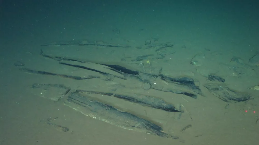 This undated image provided by Peng Zhou shows newly-discovered fossilized whale bones at a site deep underwater, southeastern Indian Ocean, in the Diamantina Fracture Zone. (Global TREnD, IDSSE via AP)