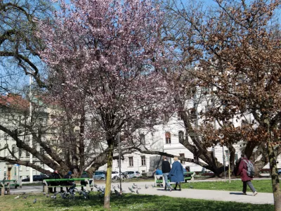 24.03.2026 -simbolična fotografija - pomla, Miklo&scaron;ičev parkFoto: Tomaž Skal