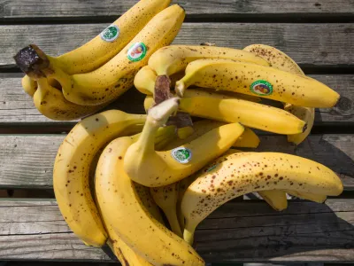 - 20.04.2016 - Ljubljanska tržnica - svetovni dan banan - predstavitev projekta "Sadje naj bo pravično" Komu služijo na&scaron;e banane? -  ..//FOTO: Maja Marko  