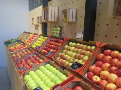 Evrosad zmanj&scaron;uje pridelavo jabolk in povečuje pridelavo drugega sadja, zelenjave in krompirja. F Dragana Stanković