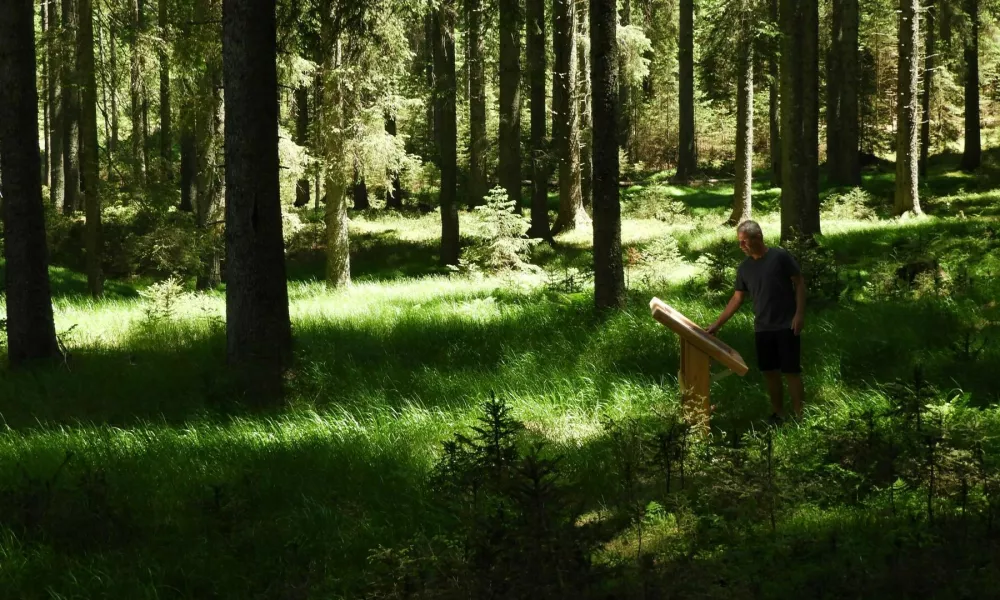 Nekdanja Poklju&scaron;ka pot, danes kraj&scaron;a učna pot Mrzli studenec, poteka skozi strnjene smrekove gozdove, mimo travi&scaron;č, Grajske planine, Velikega Blejskega barja in ostalin prve svetovne vojne (Savska obrambna linija).