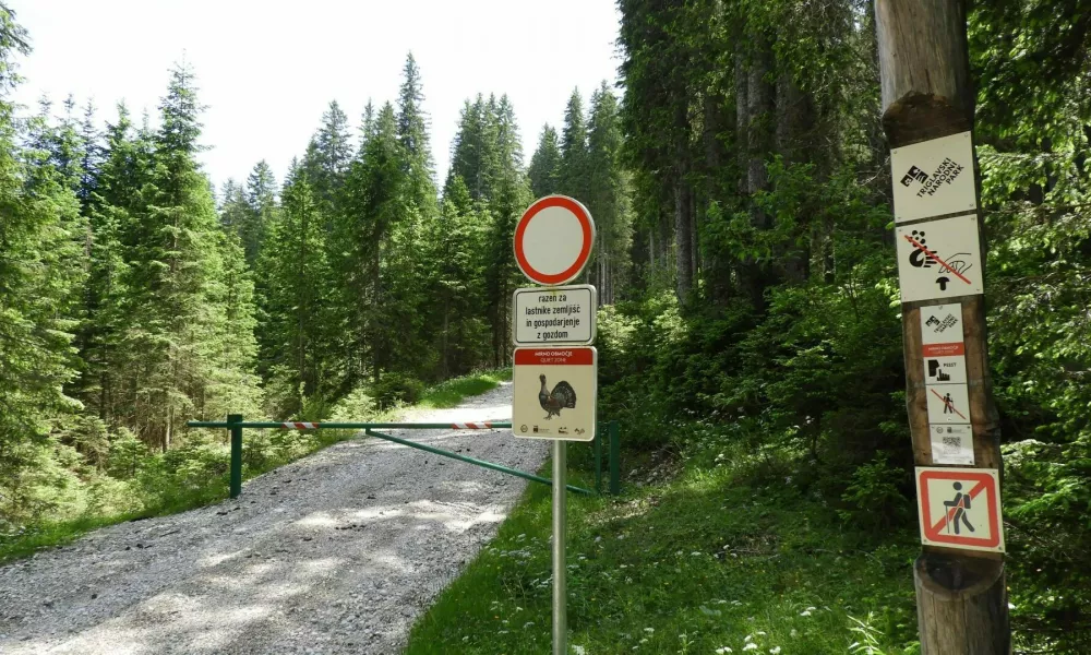 Zapornica na Pokljuki in table opozarjajo, da smo pri&scaron;li na mirno območje. Ker je na Mesnovcu največja koncentracija divjih petelinov na Pokljuki, je gibanje za obiskovalce prepovedano. V projektu VrH Julijcev je bilo postavljenih 25 zapornic.