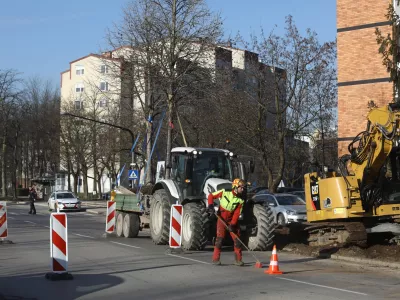 16.02.2024 - presaditev dreves z Linhartove ceste do &Scaron;martinskega parka; Kolo park Bežigrad, Linhartova cesta,Foto: Luka Cjuha