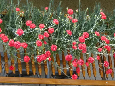 Marsikatera gorenjska hi&scaron;a je danes znova okra&scaron;ena z nageljni. Foto: GTZ