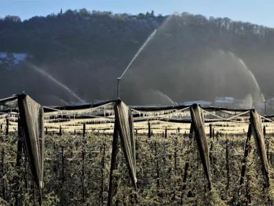 Evrosad, gazela, oro&scaron;evalni sistem
