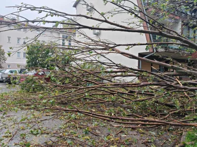 Ajdov&scaron;čina neurje Foto: Neurje.si/Martin Vidmar/Facebook