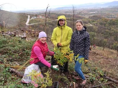 Pogozdovanje Krasa 2024, prostovoljci, sodelavci Agencije RS za okolje / Foto: Nata&scaron;a Bucik Ozebek